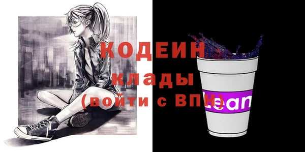 трава Коряжма