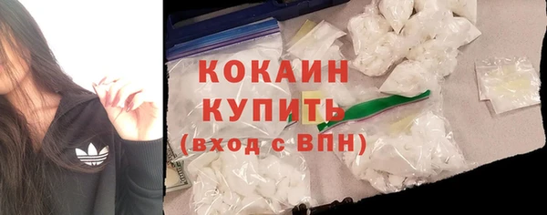 стаф Краснослободск