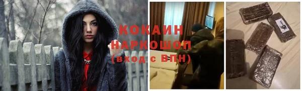 трава Коряжма