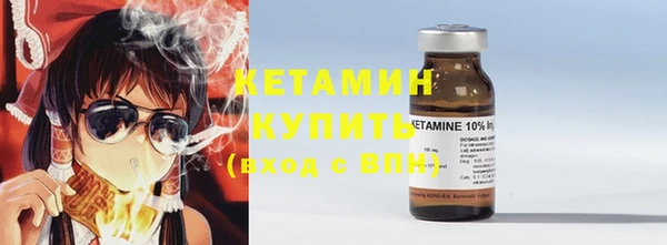 трава Коряжма