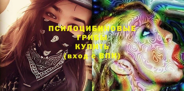 трава Коряжма
