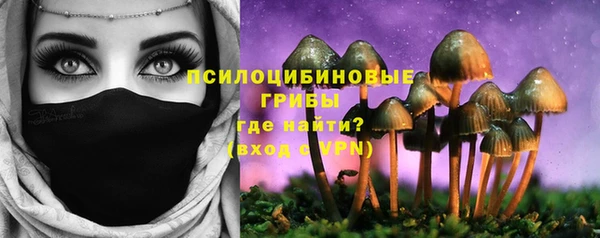 трава Коряжма